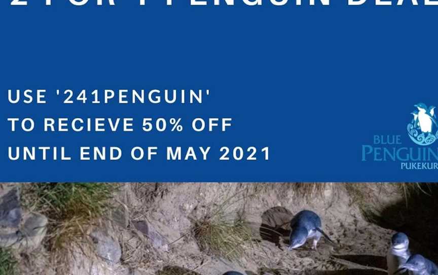 Blue Penguins Pukekura, Dunedin, New Zealand