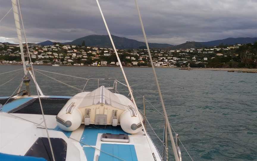 Catamaran Sailing Charters, Stepneyville, New Zealand