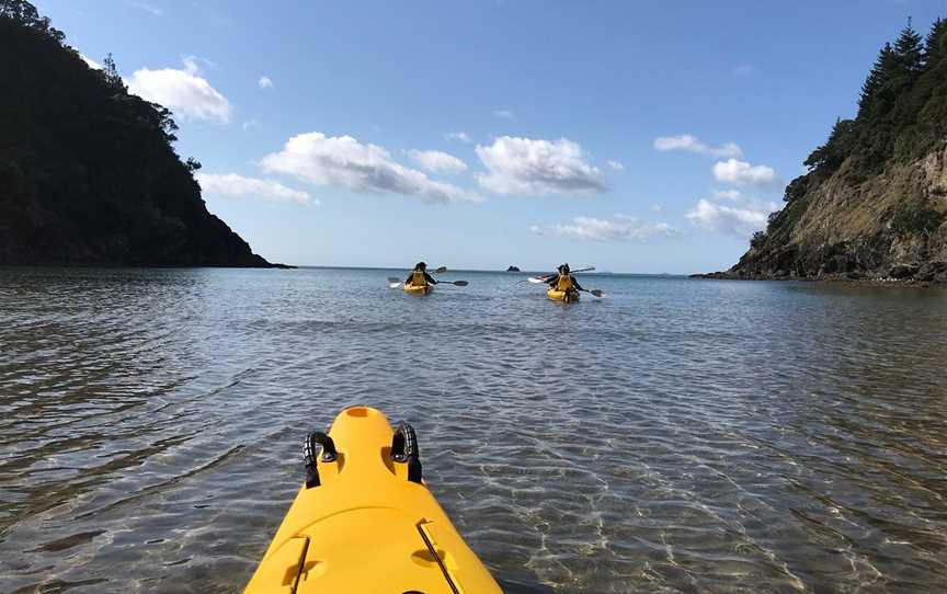 Coromandel Sea Kayaks, Whitianga, New Zealand