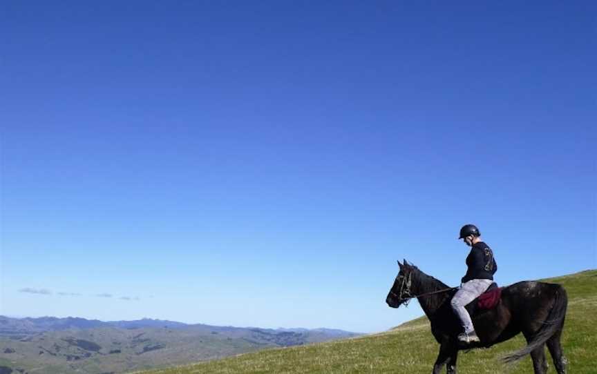 Gladstone horse treks, Flat Point, New Zealand