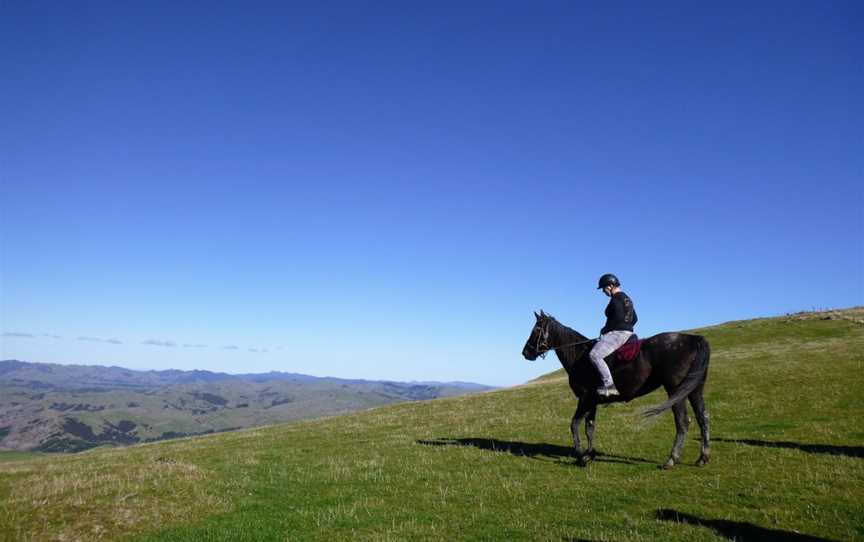 Gladstone horse treks, Flat Point, New Zealand