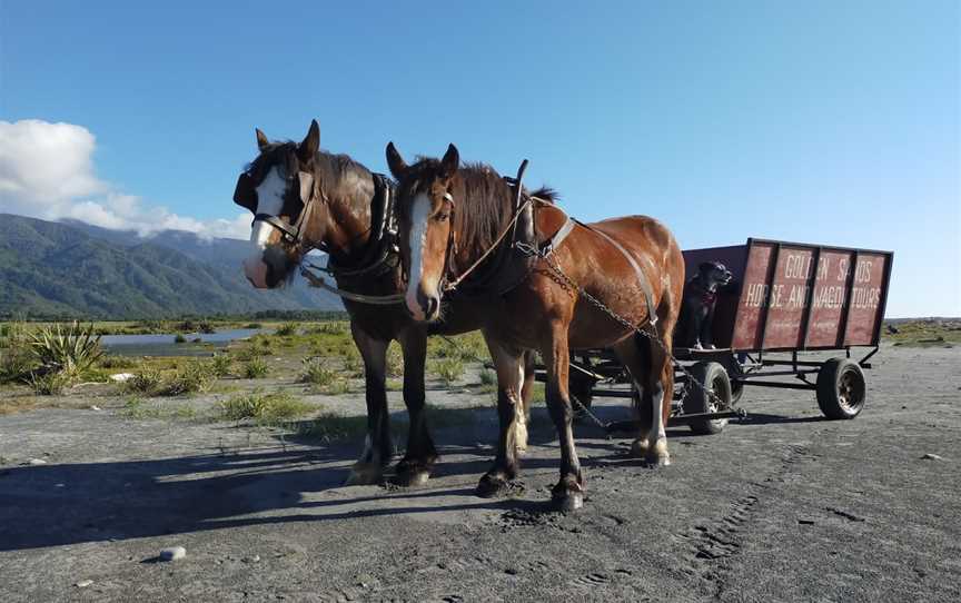 Golden Sands Horse And Wagon Tours, Barrytown, New Zealand