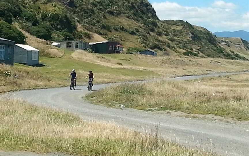 Green Jersey Cycle Tours and Bicycle Hire, Martinborough, New Zealand
