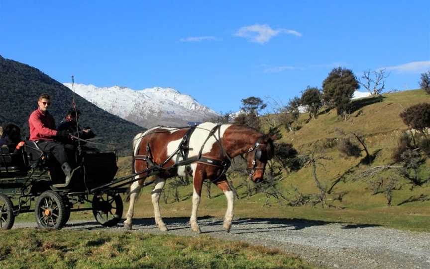High Country Horses, Glenorchy, New Zealand