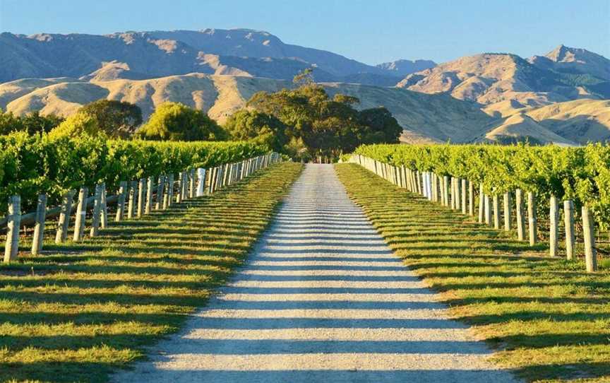 Marlborough Wine Tours, Springlands, New Zealand