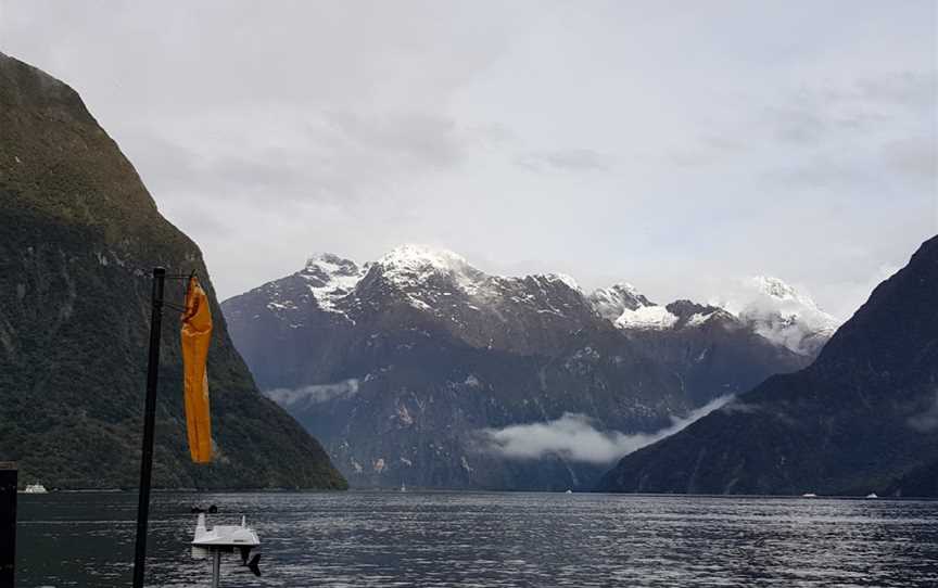 Milford Sound Piopiotahi Coach and Cruise, Te Anau, New Zealand