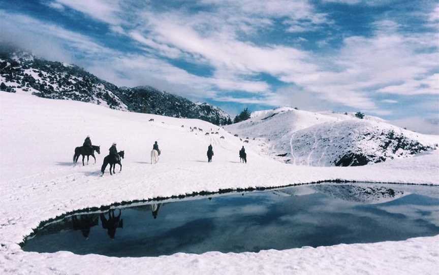 Moonlight Stables, Queenstown, New Zealand