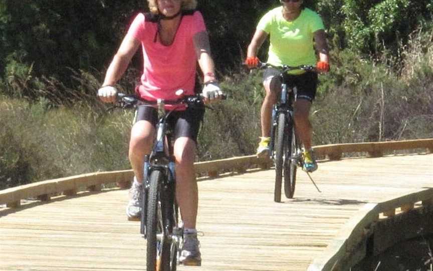 Nelson Cycle Hire and Tours, Nelson, New Zealand