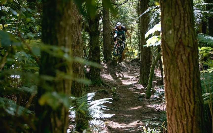New Zealand Mountain Biking, Rotorua, New Zealand
