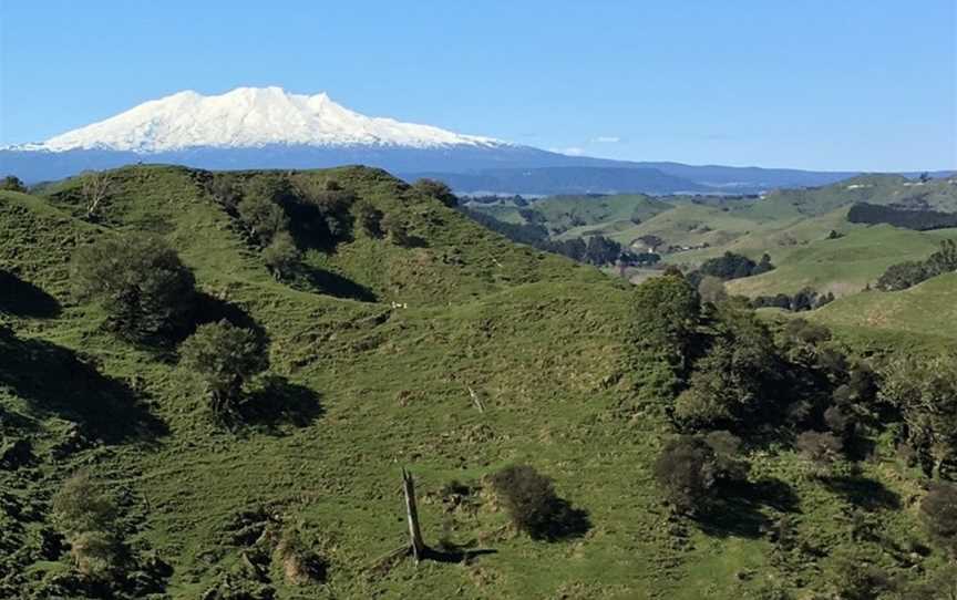 Owhango Adventures, Owhango, New Zealand