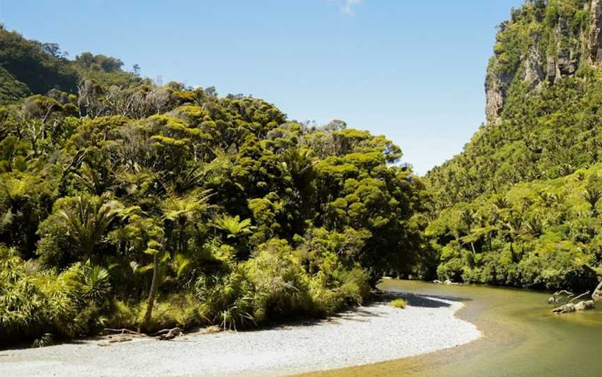 Paparoa Guided Walks, Aickens, New Zealand