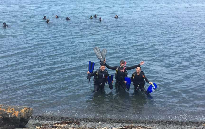 Performance Diver, Takapuna, New Zealand