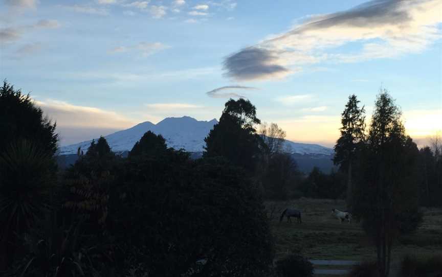 Ruapehu Homestead Horse Treks Ohakune, Ohakune, New Zealand