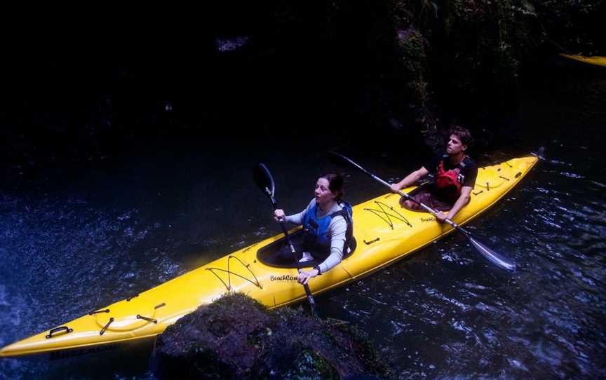 The Boatshed Kayaks, Cambridge, New Zealand