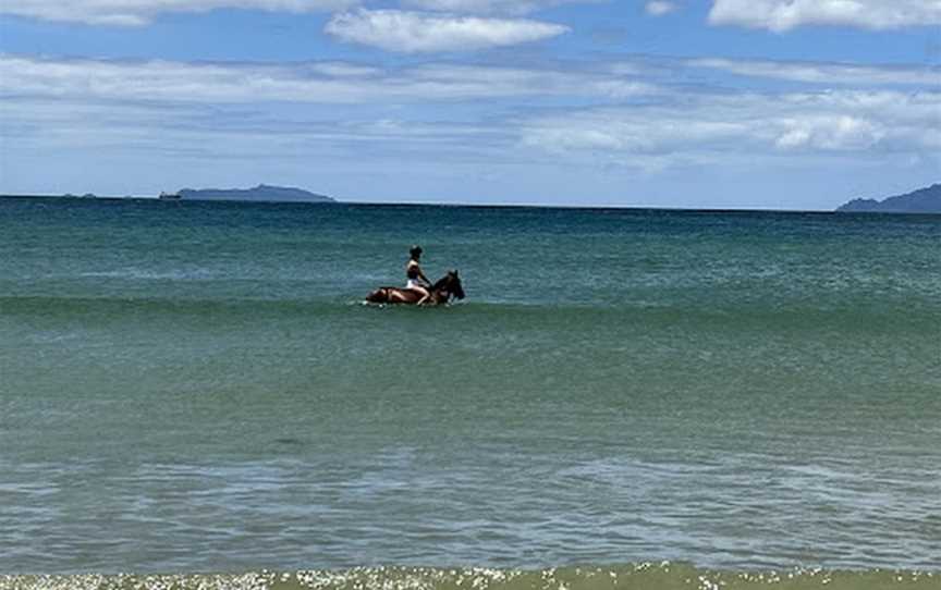 Waipu Horse Adventures, Waipu, New Zealand