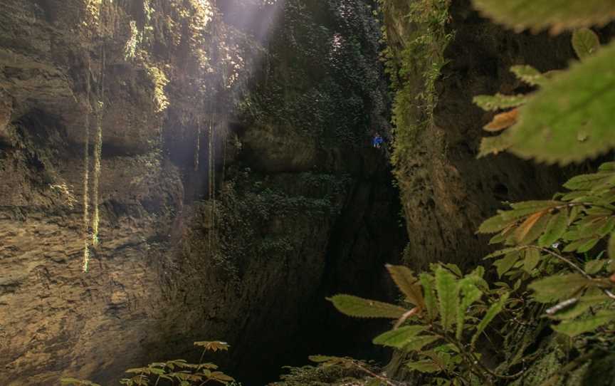 Waitomo Adventures Ltd, Hangatiki, New Zealand