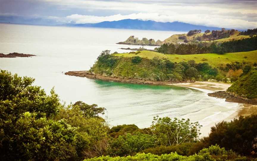 Waivino Wine Tours, Waiheke Island, New Zealand