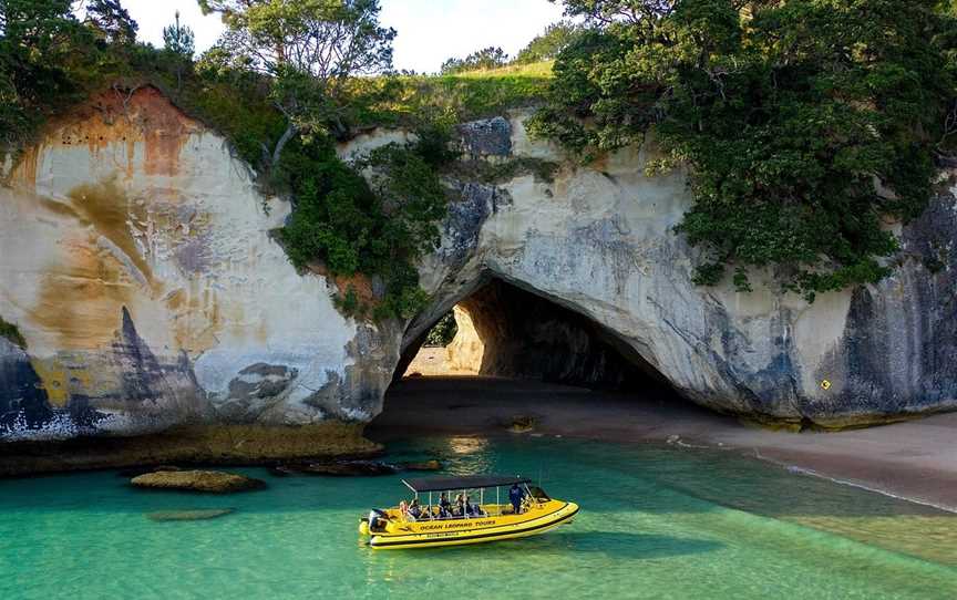 Ocean Leopard Tours Cathedral Cove Boat Tour, Whitianga, New Zealand