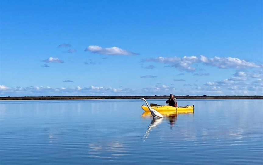 Okarito Kayaks, Okarito, New Zealand