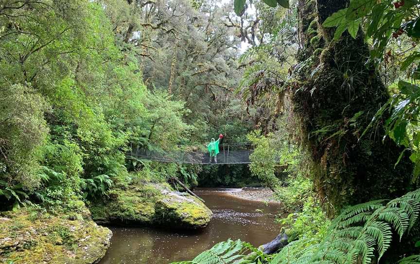 Oparara Kahurangi National Park Guided Tours, Karamea, New Zealand