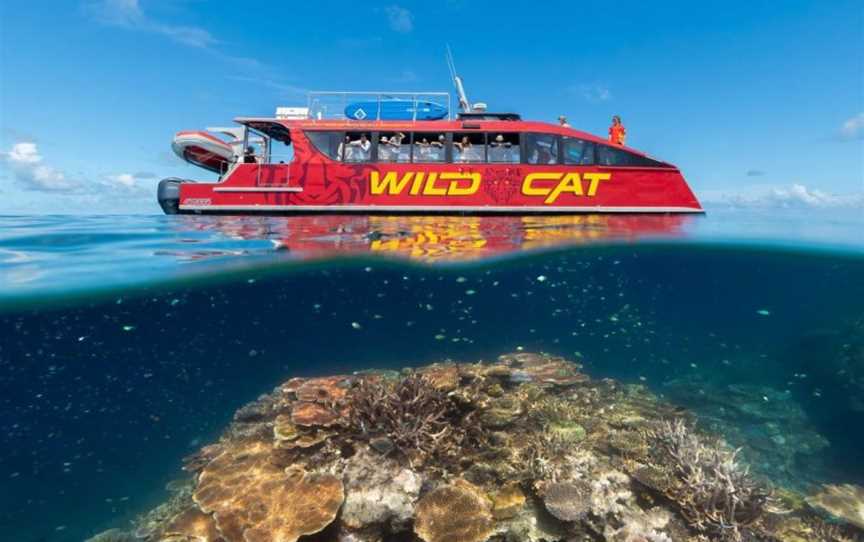 Red Cat Great Barrier Reef Tour From Airlie Beach, Tours in Airlie Beach