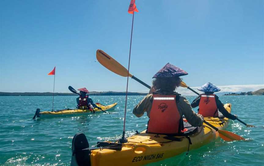 Waiheke Island Sea Kayak Tour, Tours in Auckland