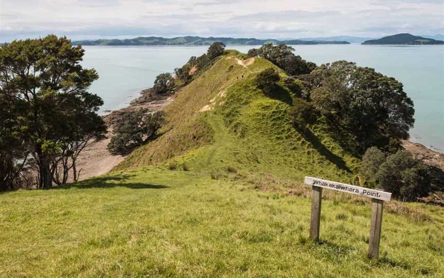 Duder Regional Park walking tours, Tours in Auckland