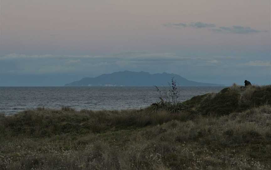 Tahwaranui Regional Park, looking out a Little Barrier Island.