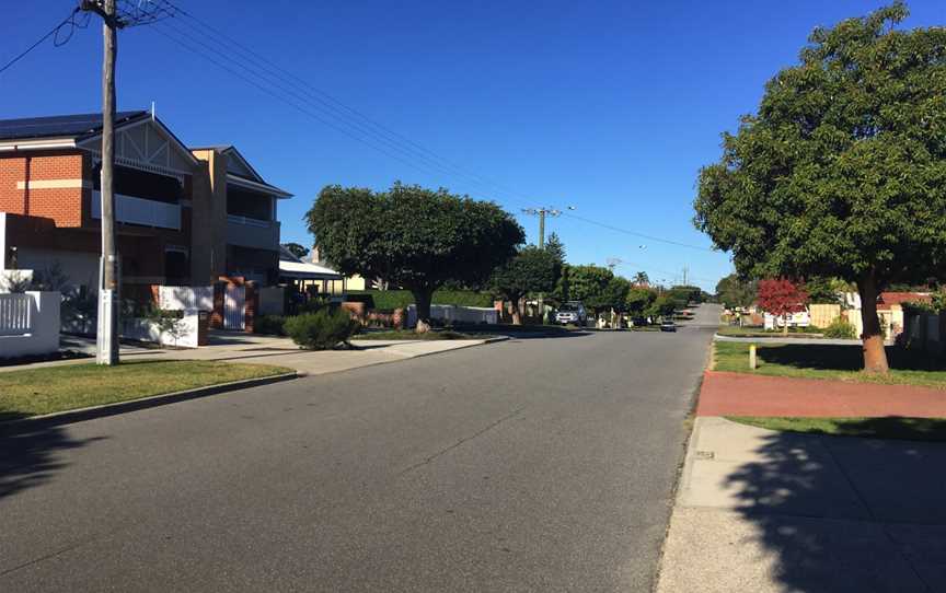 Leafy suburban street