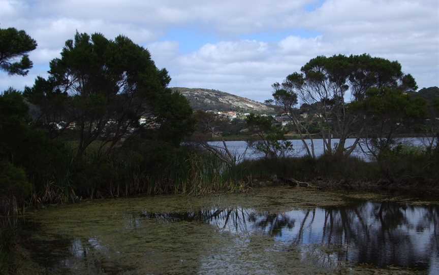 Lake Seppings Overflow Pond