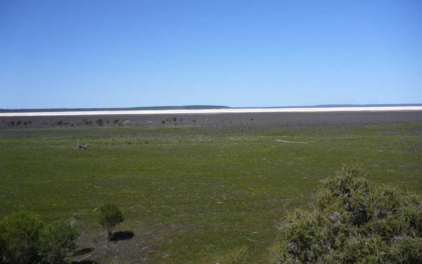 A flat expanse of very short vegetation with some low shrubs in the foreground and a horizontal line of pale sand in the far distance under a cloudless sky