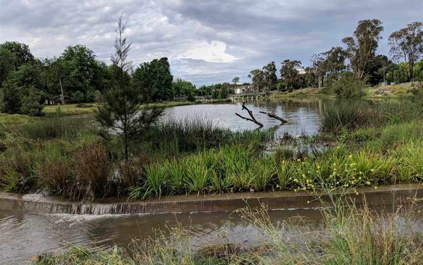 Lyneham Wetlands, Canberra 2017 1.jpg