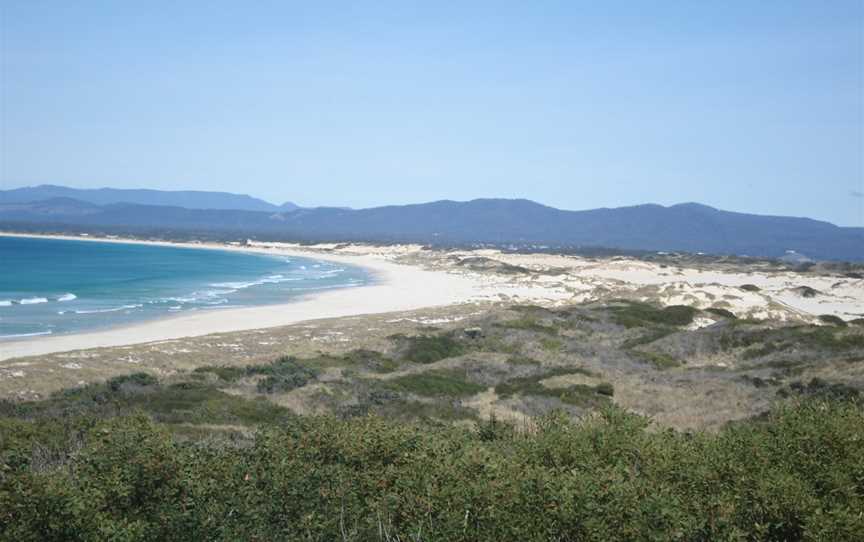 Beach at St Helens 01.JPG