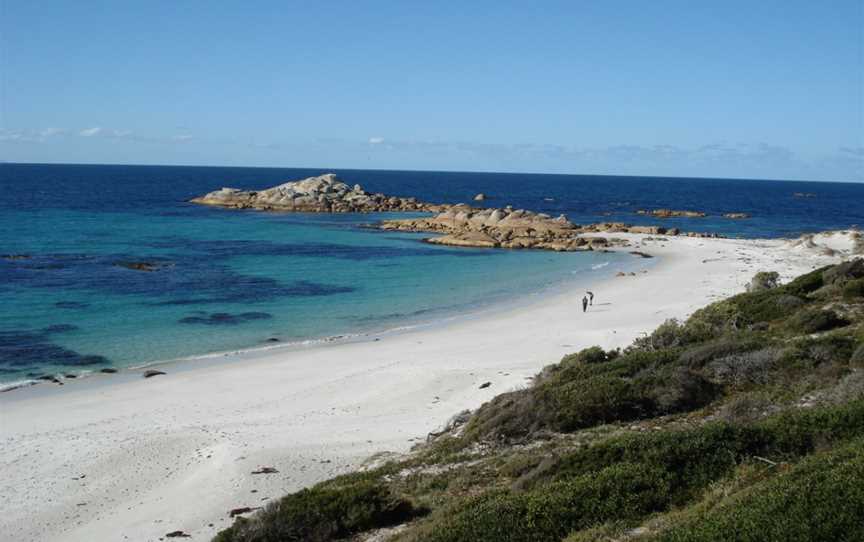 Stumpys Bay Beach, Tasmania.jpg