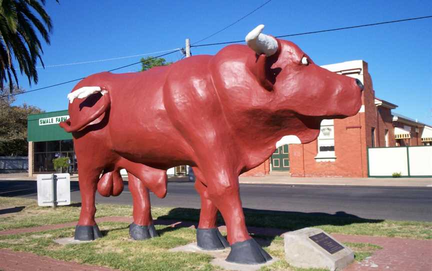 Mallee Bull Birchip