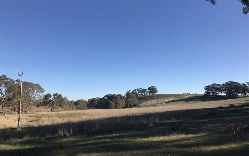 Muckleford - View from Rilens road.jpg