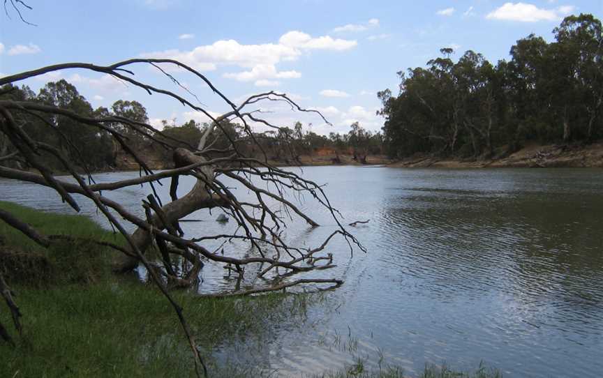 Murray River at Boundary Bend.jpg