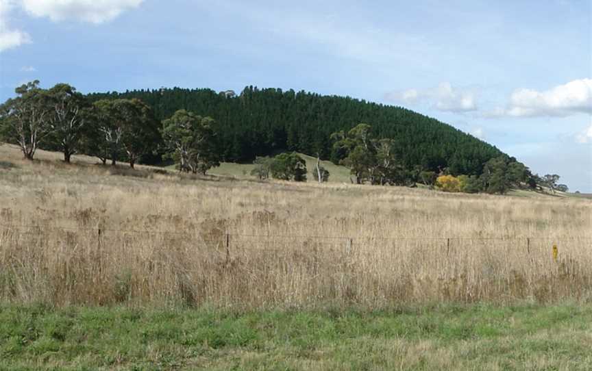 A view of Mount Franklin, Victoria, Australia, an extinct volcano, as seen from the Castlemaine-Daylesford road.