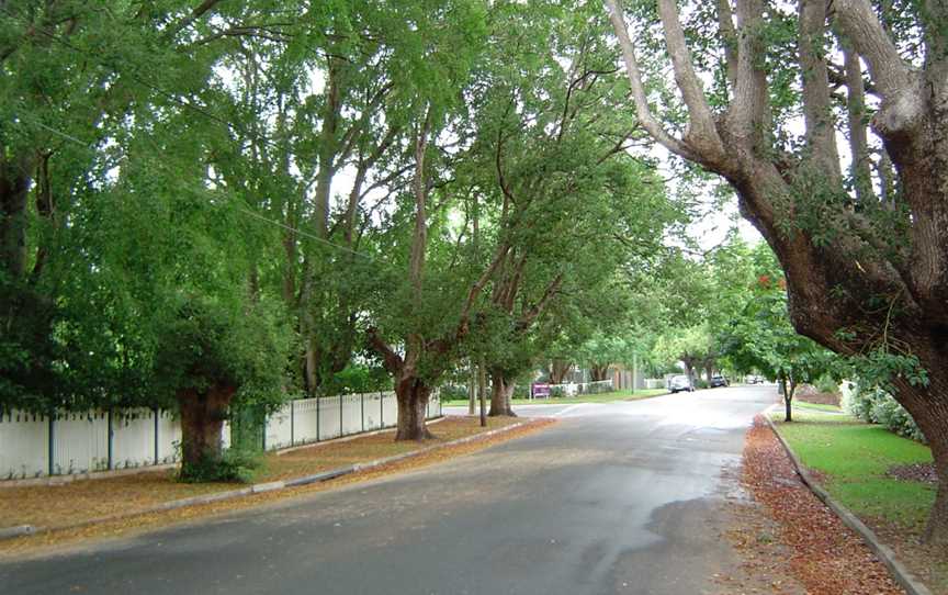 Laurel Avenue Chelmer Queensland.jpg