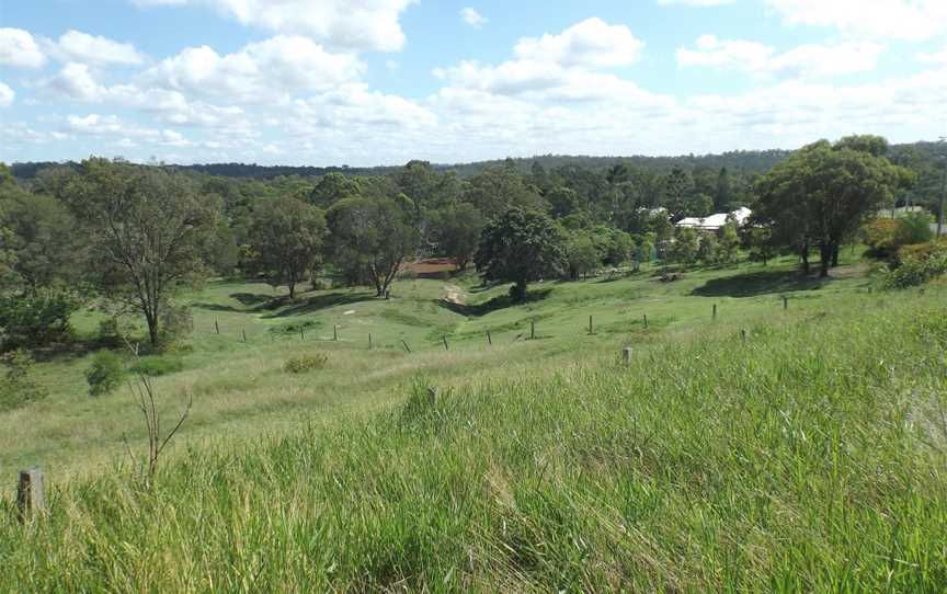 Majella Crescent at Bahrs Scrub, Queensland 2.jpg