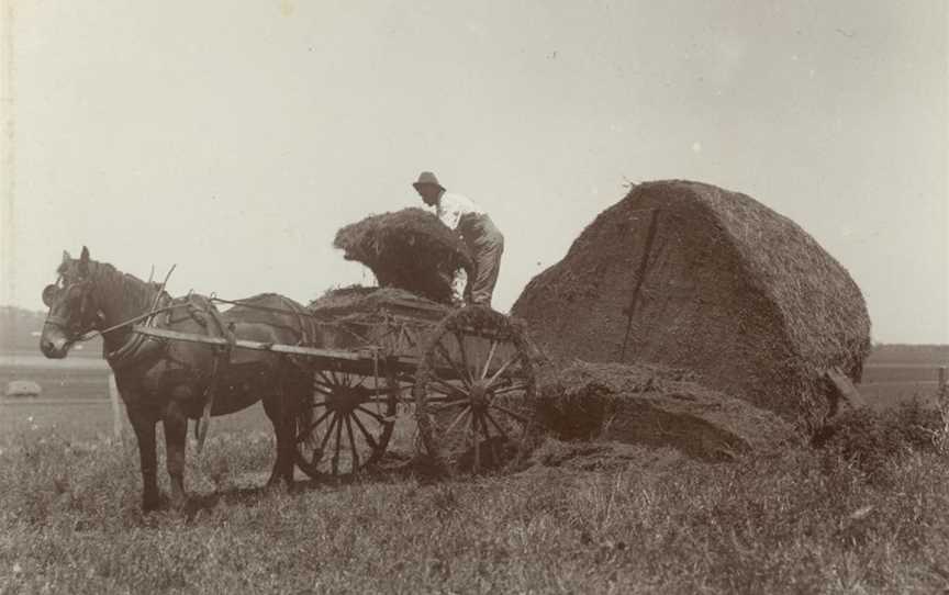 StateLibQld 1 255177 Loading hay onto the wagon, Kingsthorpe District, ca. 1902.jpg