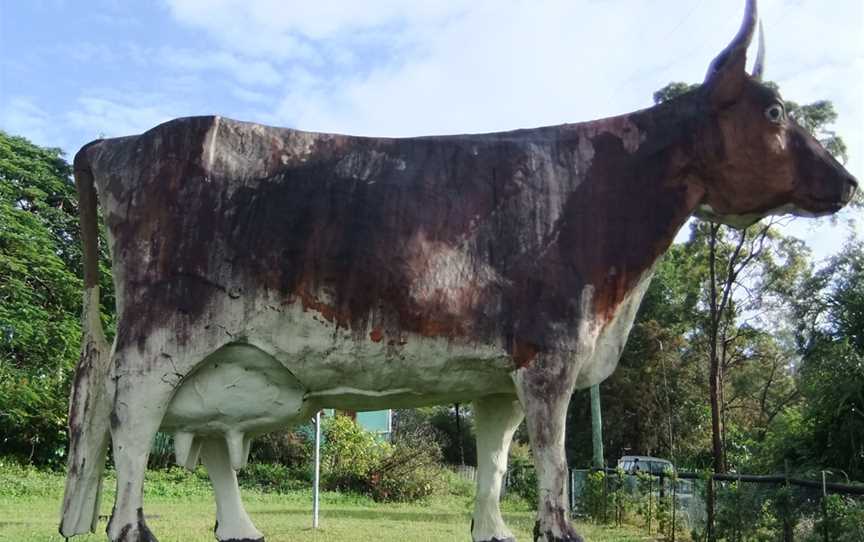 The Nambour Regional Training Centre formerly known as the Big Cow - Taken on the Saturday, 20th July 2013 at 8-39am. - panoramio.jpg