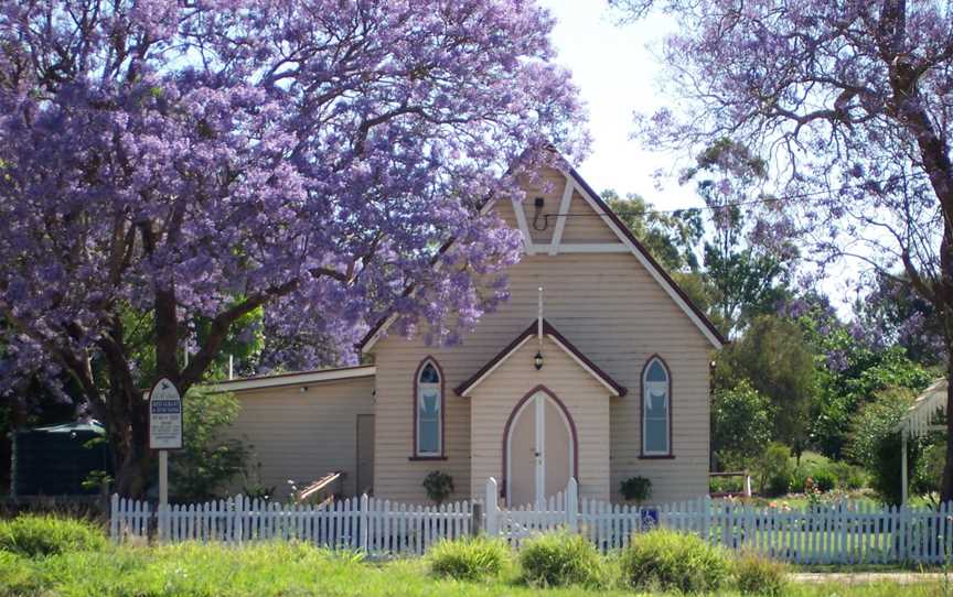 JacarandaWooroolinAustralia.JPG