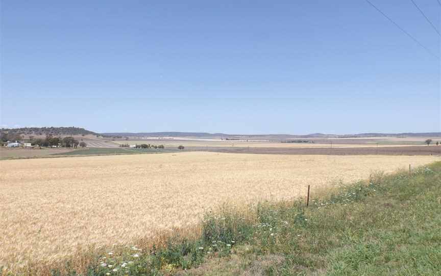 Fields at Felton 2.jpg