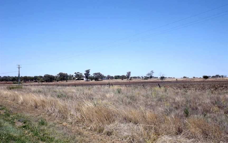 Fields at Aubigny.jpg