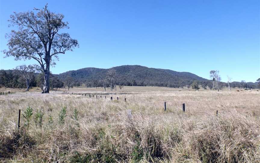 Paddocks Neurum Queensland.jpg