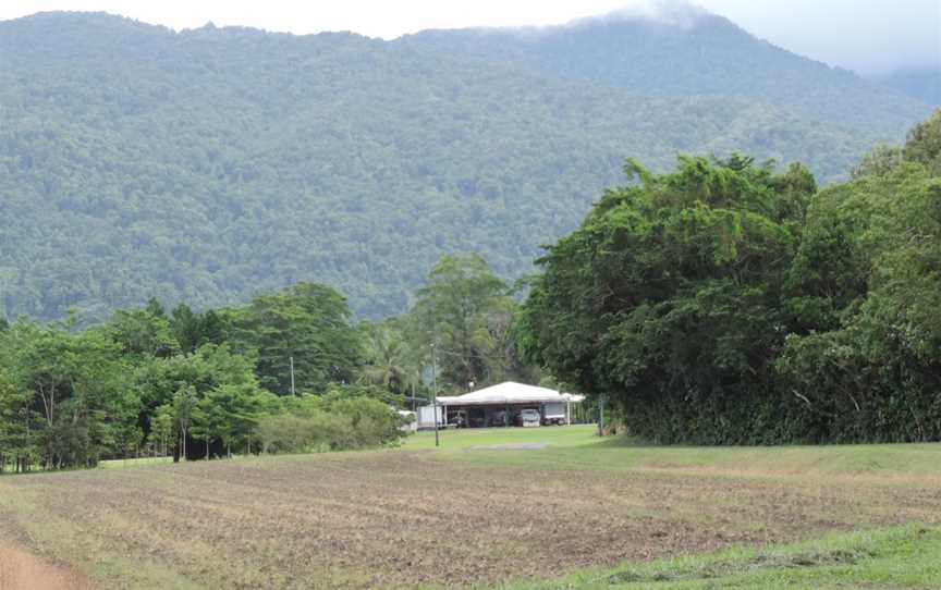 Farm with Bellenden Ker Range in the background, Fishery Falls, 2018.jpg