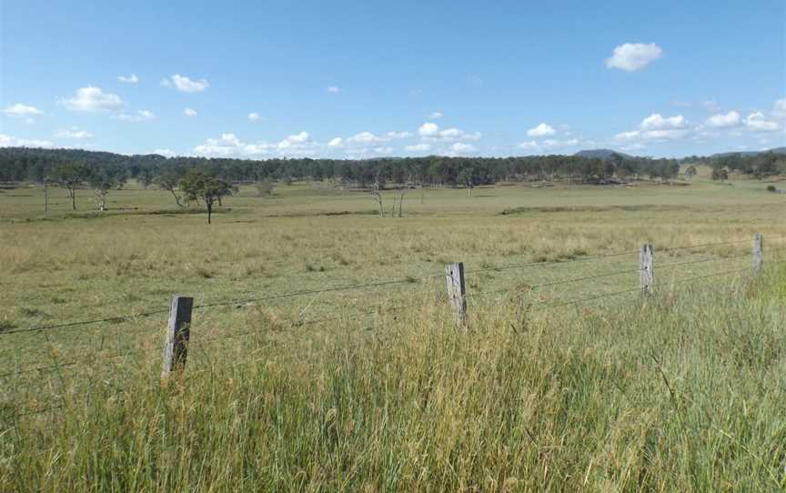 Fields at Oaky Creek, Queensland.jpg