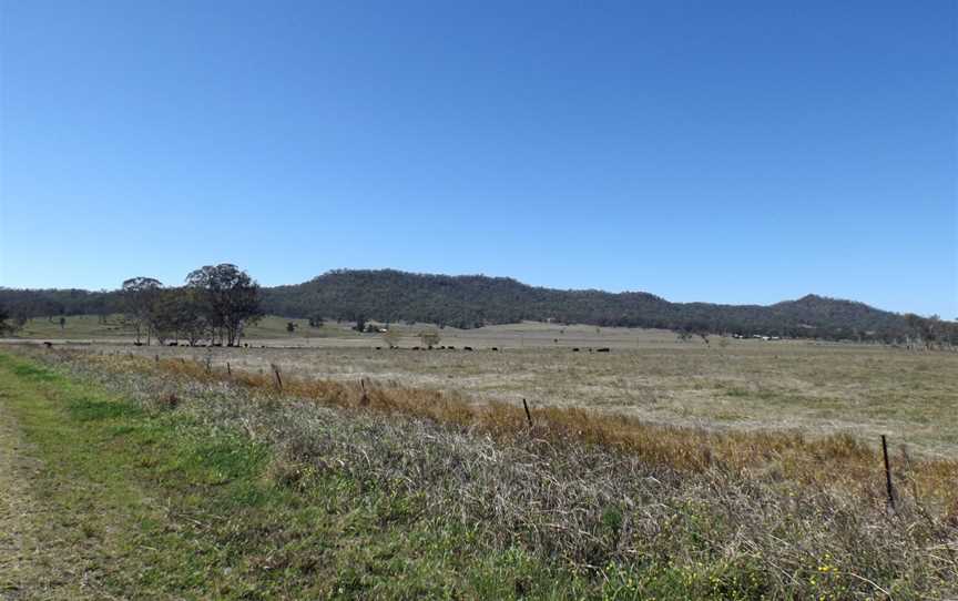 Paddocks at Tabragalba.jpg