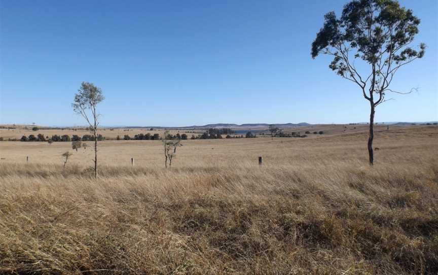 Paddocks Bryden Queensland.jpg